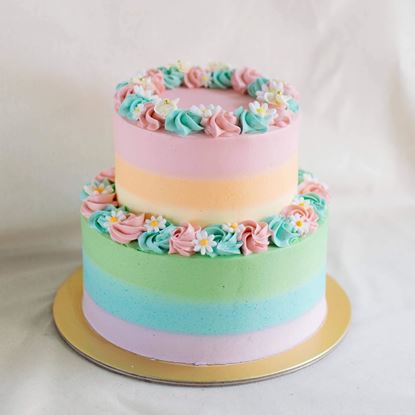 Picture of 2 tier Ombre Cake