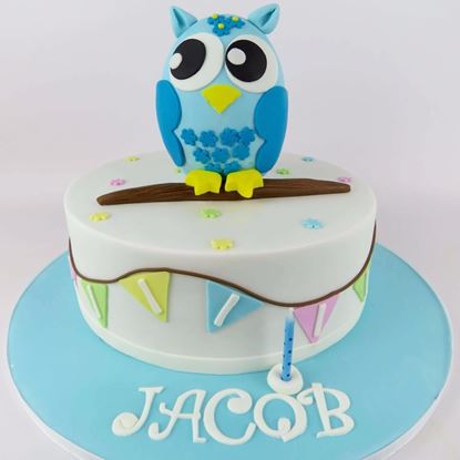 Picture of Blue Owl Birthday Cake